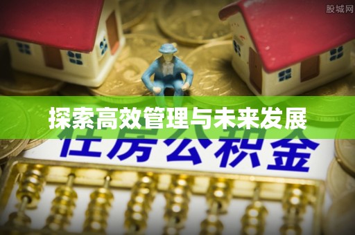 蜀山探索高效管理与未来发展
