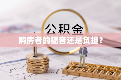 蜀山购房者的福音还是负担？