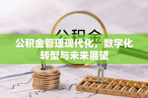 蜀山公积金管理现代化，数字化转型与未来展望