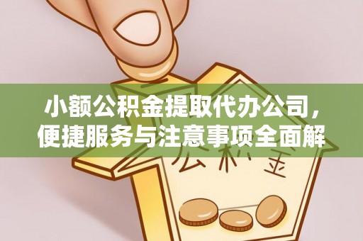 蜀山小额公积金提取代办公司，便捷服务与注意事项全面解析