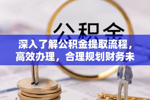 蜀山深入了解公积金提取流程，高效办理，合理规划财务未来