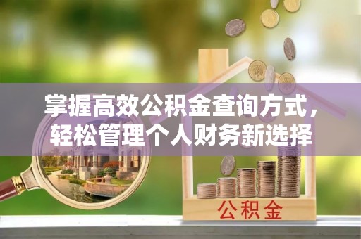 蜀山掌握高效公积金查询方式，轻松管理个人财务新选择