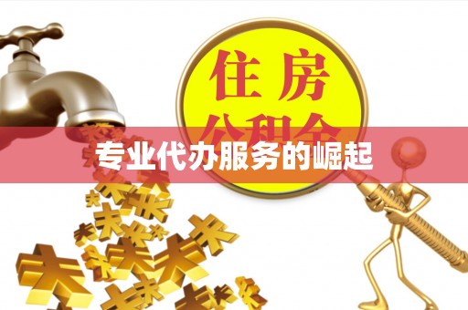 蜀山专业代办服务的崛起