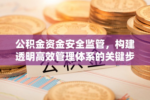 蜀山公积金资金安全监管，构建透明高效管理体系的关键步骤
