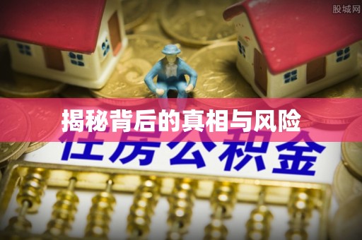 蜀山揭秘背后的真相与风险