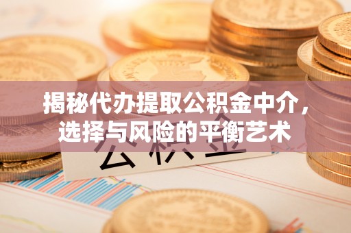 蜀山揭秘代办提取公积金中介，选择与风险的平衡艺术