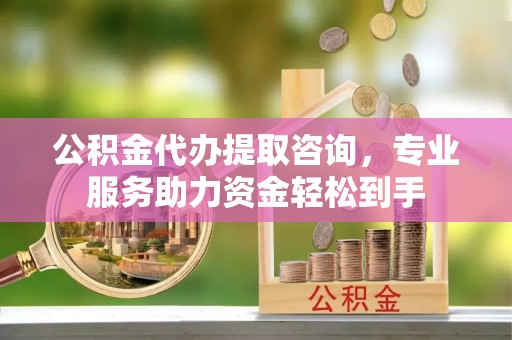 蜀山公积金代办提取咨询，专业服务助力资金轻松到手