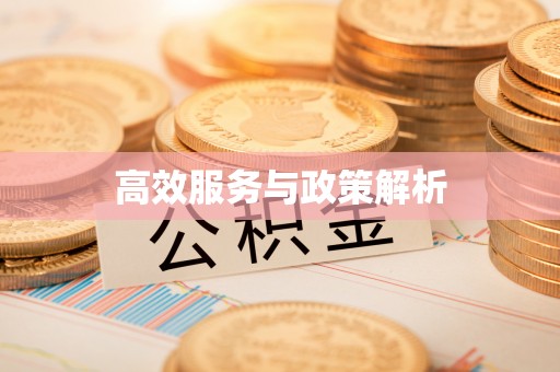 蜀山高效服务与政策解析