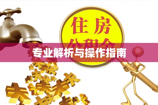 蜀山专业解析与操作指南