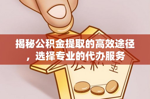 蜀山揭秘公积金提取的高效途径，选择专业的代办服务