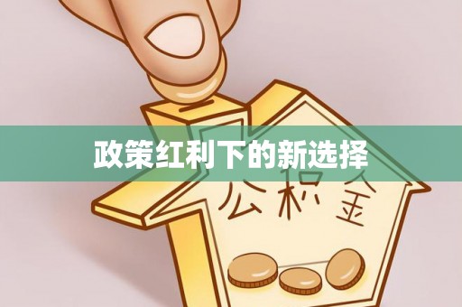 蜀山政策红利下的新选择