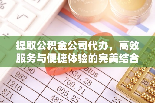 蜀山提取公积金公司代办，高效服务与便捷体验的完美结合