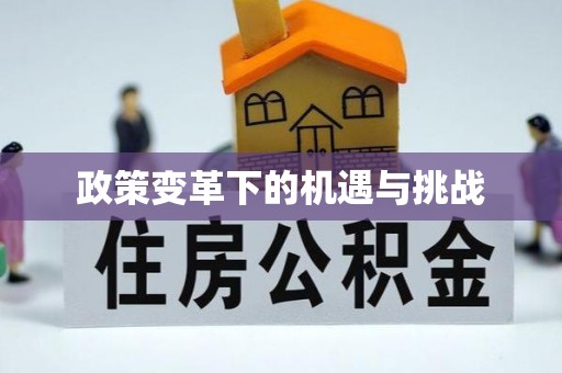 蜀山政策变革下的机遇与挑战
