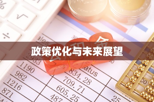 蜀山政策优化与未来展望