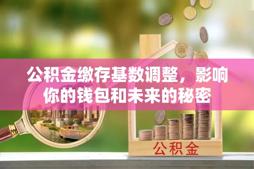 蜀山公积金缴存基数调整，影响你的钱包和未来的秘密