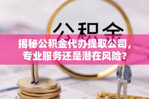 蜀山揭秘公积金代办提取公司，专业服务还是潜在风险？