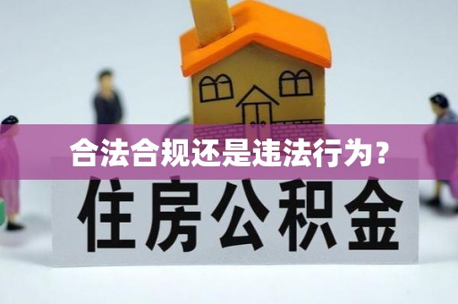 蜀山合法合规还是违法行为？