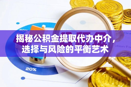 蜀山揭秘公积金提取代办中介，选择与风险的平衡艺术