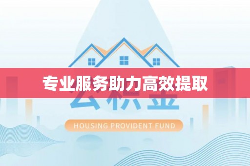 蜀山专业服务助力高效提取