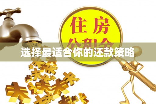 蜀山选择最适合你的还款策略