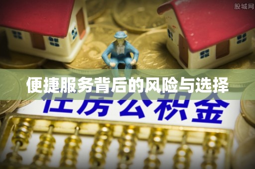 蜀山便捷服务背后的风险与选择
