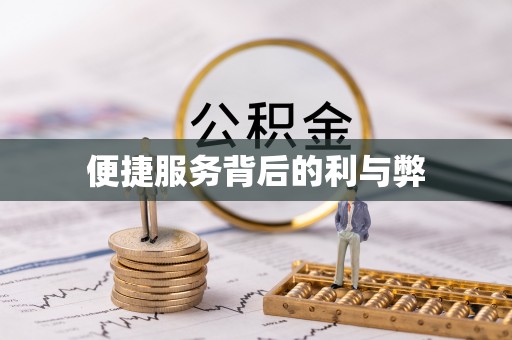 蜀山便捷服务背后的利与弊